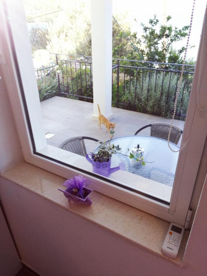 Apartmani Skalinada 玛里纳 外观 照片